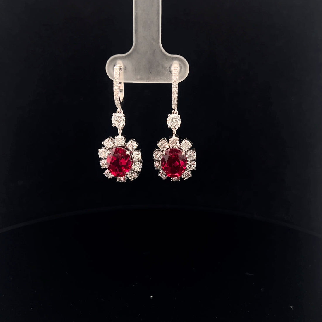 Exquisite Drop Earrings