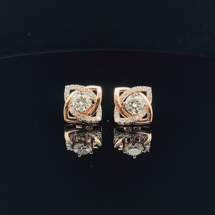 Exquisite Stud Earrings